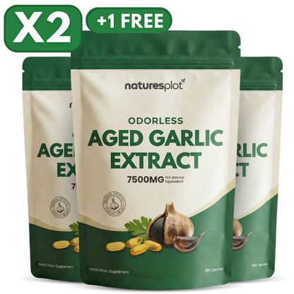 Aged Garlic Extract - 7500mg Odorless