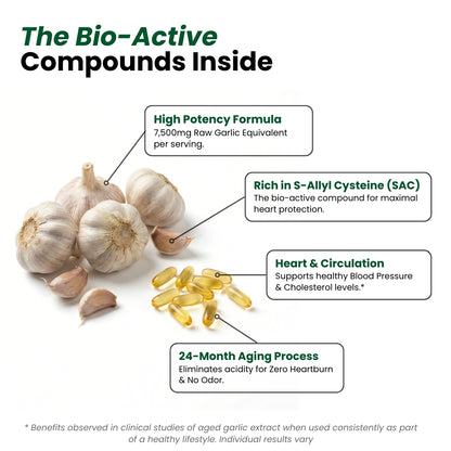 Aged Garlic Extract - 7500mg Odorless